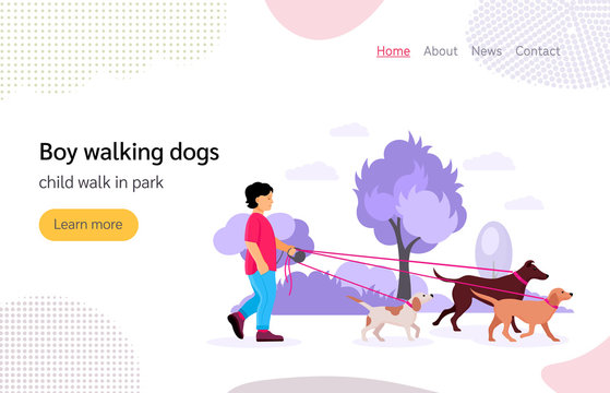 Boy walking dogs in city park vector