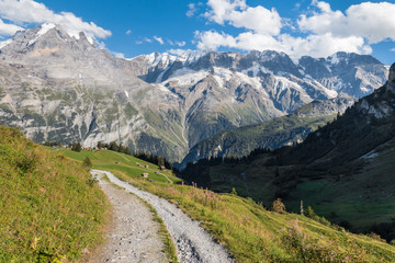 Fototapeta na wymiar hiking track across alpine meadow in Bernese Alps, Switzerland