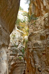 Avakas Gorge (Cyprus)