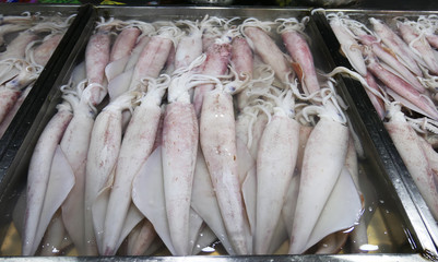 Fresh squids