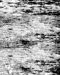 Obraz premium texture vector design