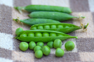 Pisum sativum pea green fruits in gree pods on brown background, tasty ripened sweet summer fruit, harvesting time