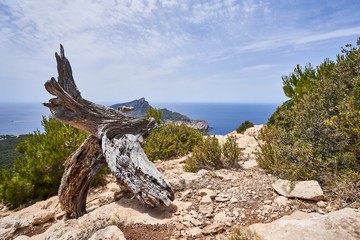 Fototapeta premium Wonderful views of the sea and the mountains of Mallorca