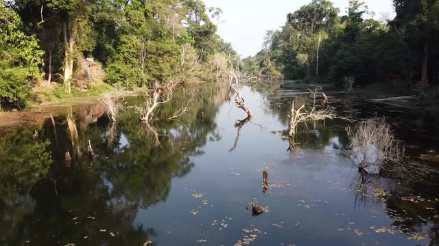 Wild nature over a moat in Angkor. Drone footage above the moat of Preah Khan temple, Siem Reap province, Cambodia