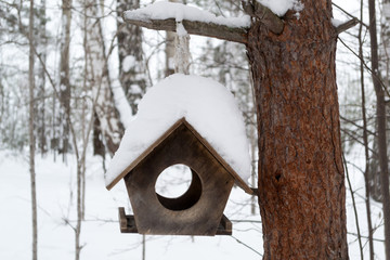 wooden birdhouse on a tree