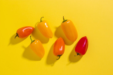 Сolorful yellow, red and orange mini bell peppers on a yellow background with copy space. Vegetables 