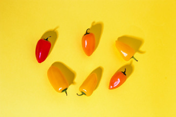Сolorful yellow, red and orange mini bell peppers on a yellow background with copy space. Vegetables 