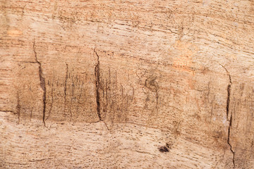 Close up of brown wooden plank texture background