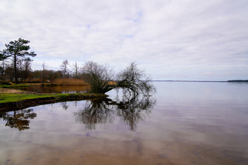 Morning winter sunrise over Lake Biscarosse in France Europe