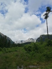 Widok na dolinę w Tatrach Słowackich