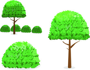 Vegetation - a tree and bush with leaves of different shades of greenery.