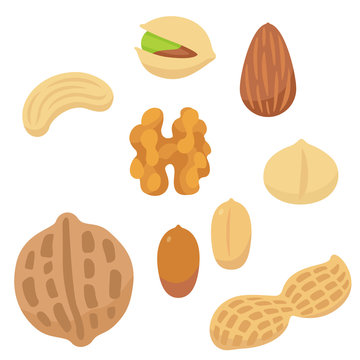 ナッツのイラストセット