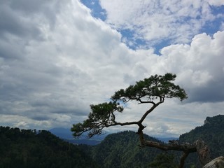 views from the Pieniny