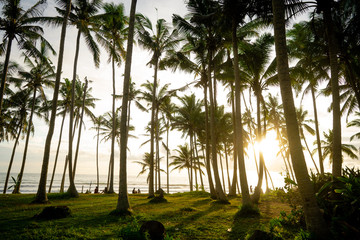The sun sets in Pasut beach on the south shore of the Indonesian Island of Bali, creating a colorful sky behind swaying palm trees on a peaceful January evening.
