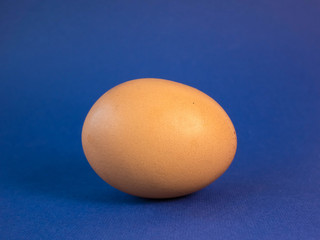 one brown egg lies horizontally on a blue background