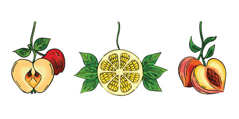 Vector fruit set, berries, Apple, Lemon, Peach collection