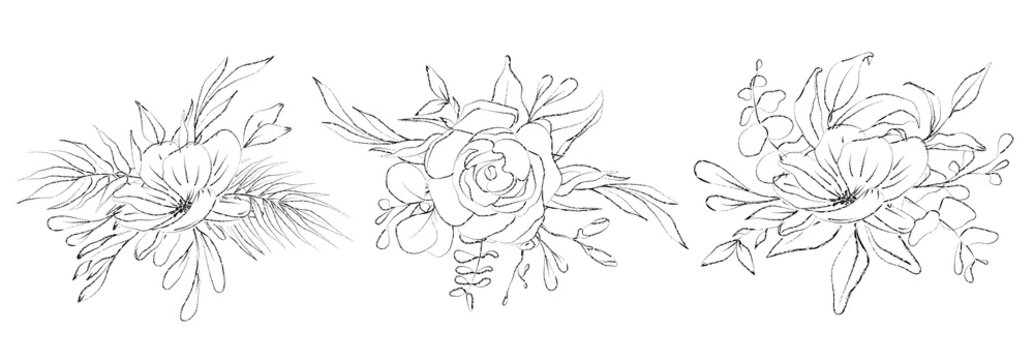 Botanical sketched floral bouquets. Line art hand drawn plant