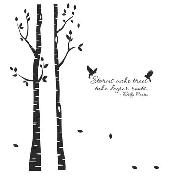 The beautiful tree with the quote
