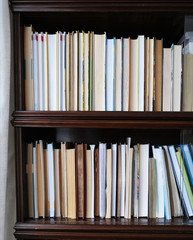 books stand on a bookshelf