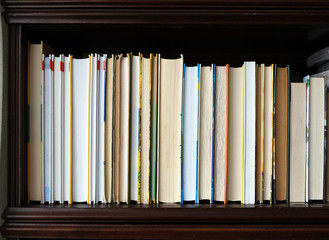 books stand on a bookshelf
