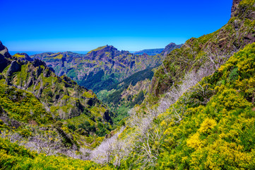 Beautiful hiking trail from Pico do Arieiro to Pico Ruivo, Madeira island. Footpath PR1 - Vereda do Areeiro. On summy summer day above the clouds. Portugal.