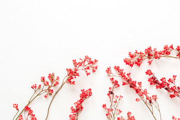 Red wildflowers on white background. Flat lay, top view.