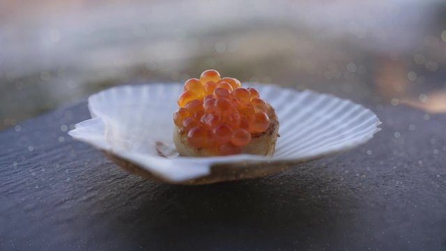 Cinemagraph with a view of the red game in the scallop shell