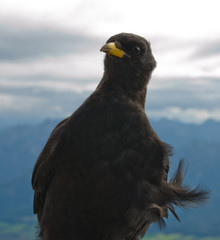 Austria © Krzysztof