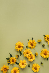 Floral composition with yellow daisy flower buds. Flatlay, top view.