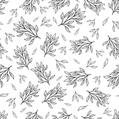 Fototapeta premium Seamless pattern with medicinal flowers and leaves on a white background.