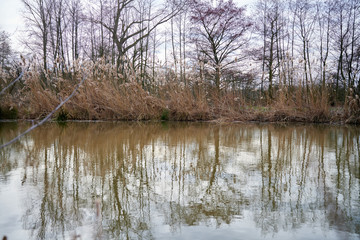 Obraz premium Étangs