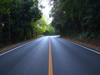Empty Road with an endless yellow line in the mountains of Chiangmai Thailand surrounded by dense forests