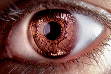 Naklejka premium Ojos espectaculares