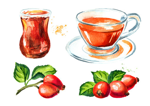 Glass and cup of of wild rose or Rosehip tea with ripe red briar fruits set. Hand drawn watercolor illustration, isolated on white background