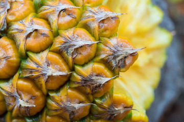 pineapple close-up background