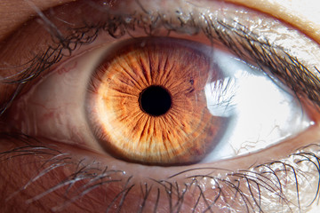 Ojos espectaculares