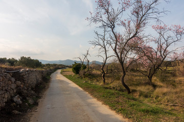 Fototapeta premium The surroundings of the town of Sant Mateu