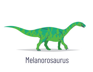 Melanorosaurus. Sauropodomorpha dinosaur. Colorful vector illustration of prehistoric creature melanorosaurus in hand drawn flat style isolated on white background. Huge fossil dinosaur.
