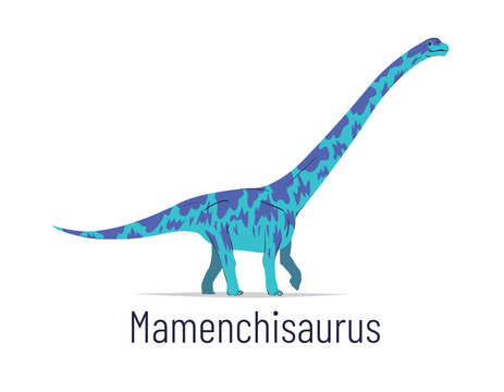 Mamenchisaurus. Sauropodomorpha dinosaur. Colorful vector illustration of prehistoric creature mamenchisaurus in hand drawn flat style isolated on white background. Huge fossil dinosaur.