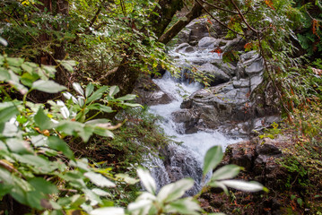 山中の小川