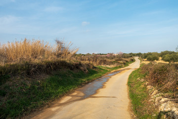 The surroundings of the town of Sant Mateu