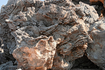 Caves and rock formations of the rocky coast of the island of Marettimo, in the Egadi Islands in Sicily, Italy.