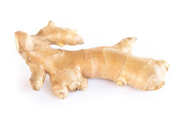 Fresh ginger root  islolated on white background for herb and medical product concept