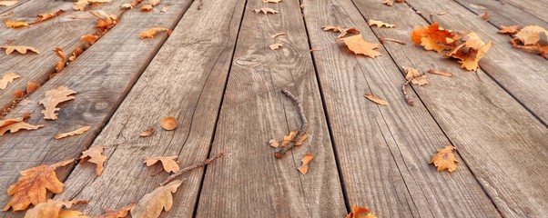 Autumn fallen yellowed autumn leaves on a wooden rustic background, table. Falling leaves natural background. Banner With selective focus, copy space for text.