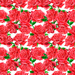 Red Floral seamless pattern, flower  roses on an isolated white background, watercolor flowers, botanical illustration