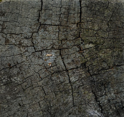 Wood Crack Texture Grunge Background