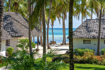 Tropical houses and coconut palm trees on a sand beach near the sea in sunny day on the island of Zanzibar, Tanzania, Africa