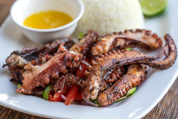 Fried octopus tentacles with white rice on a plate, close up
