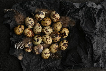 Quail eggs and feathers on black crumpled wrapping paper. A lot of spotty little eggs on a black textured background. Copy space. Healthy food.