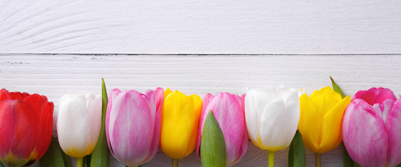 Multicolored tulips in a row on a background of light boards.